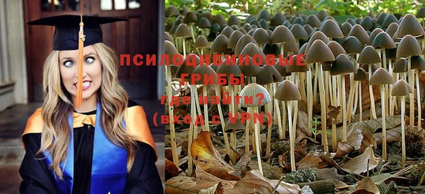 мдма Корсаков