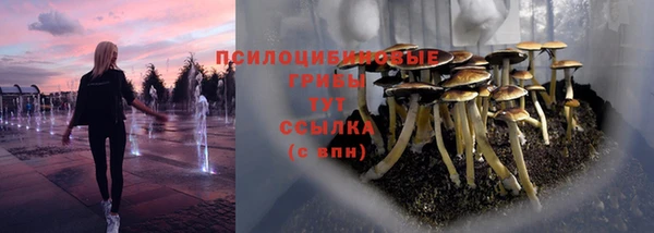 дживик Козловка