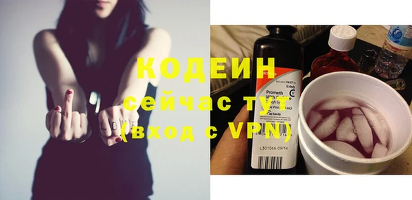 гашик Костерёво