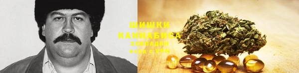 гашик Костерёво