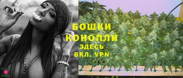 дживик Козловка