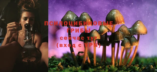 мдма Корсаков