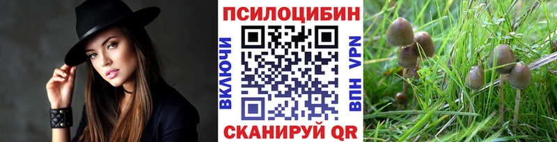 даркнет сайт  Красноперекопск  Галлюциногенные грибы мухоморы 