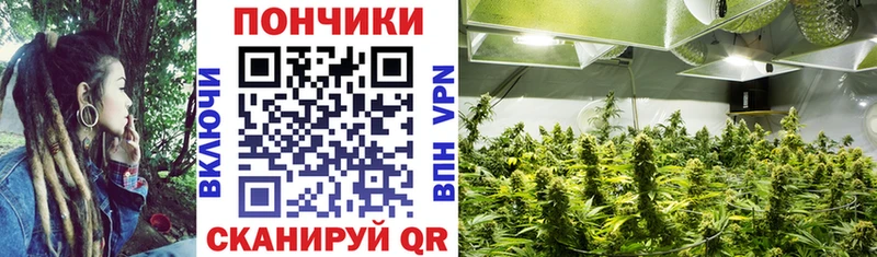 ОМГ ОМГ   Красноперекопск  МАРИХУАНА семена 